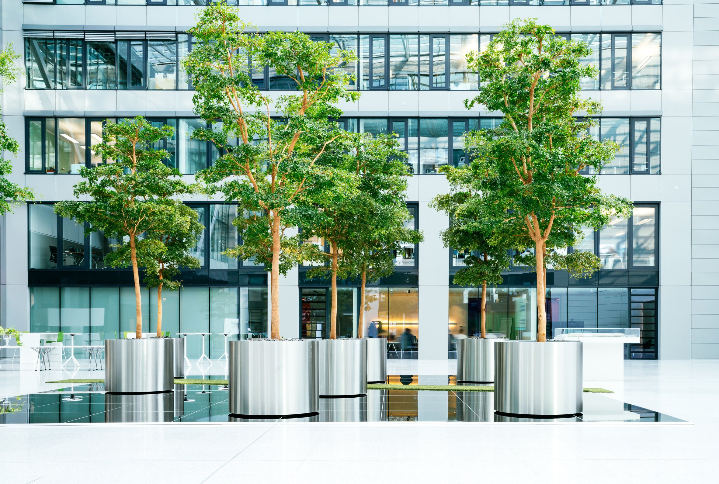 Modern Office Building Interior with plants